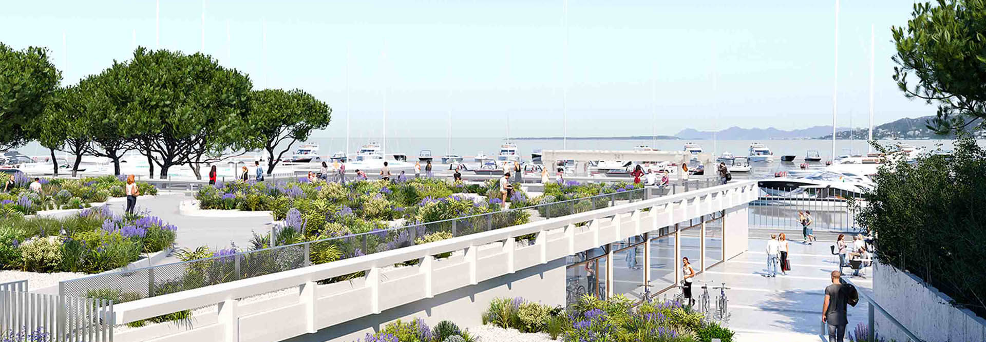 header-page-vie du port